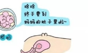 月子期宝典：注意事项与饮食禁忌全解析